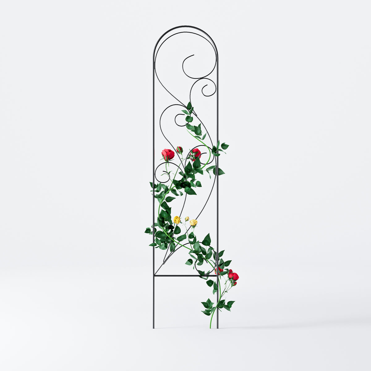 Zhongma 4-Pack 36" Metal Plant Trellis for Potted Plants, Indoor & Outdoor